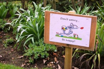 Chelmsford_Ladies_Circle_Easter_Bunny_Hunt_2018_be_hoppy Chelmsford_Ladies_Circle_Easter_Bunny_Hunt_2018_be_hoppy